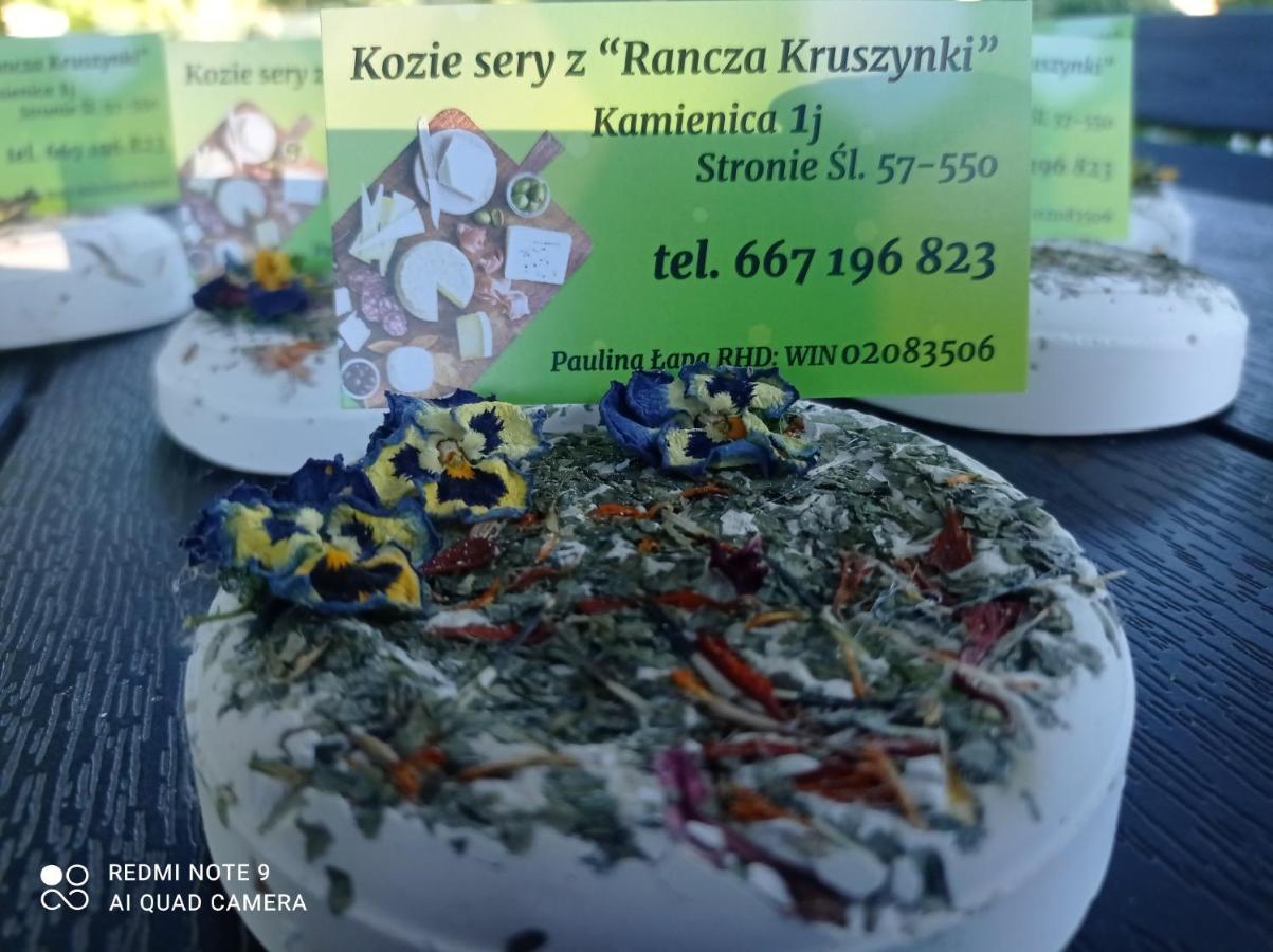 Agroturystyka,, Ranczo Kruszynki" Stronie Śląskie Eksteriør billede